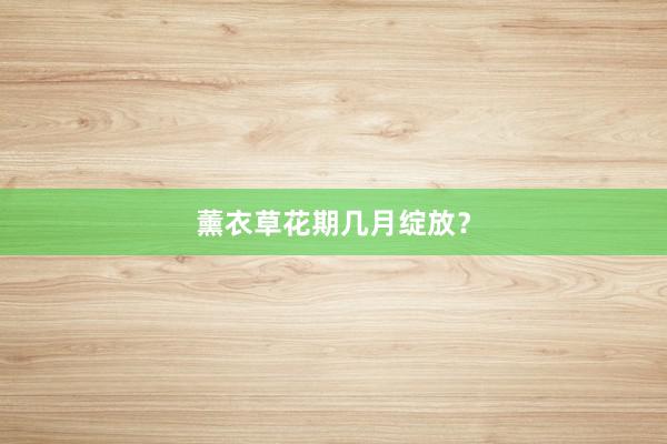 薰衣草花期几月绽放？