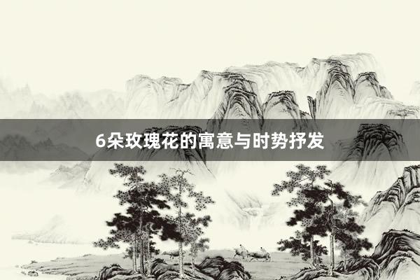 6朵玫瑰花的寓意与时势抒发