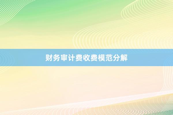 财务审计费收费模范分解
